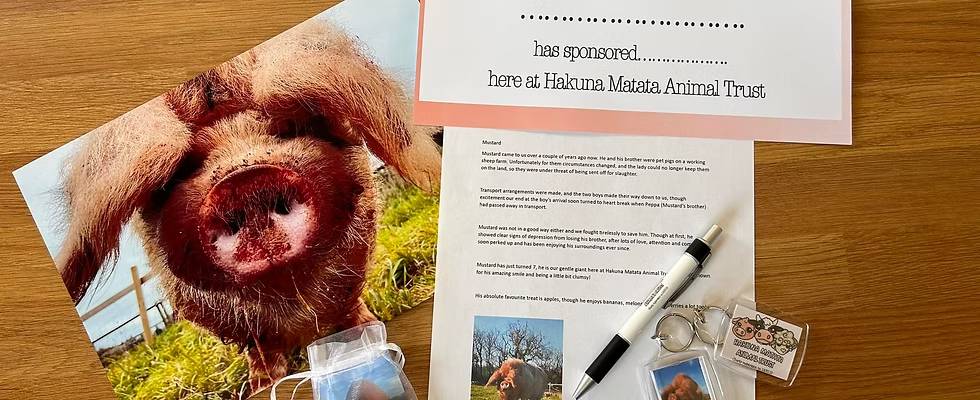 Photo of animal sponsored, certificate, pen and key-ring